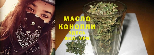 твердый Ельня