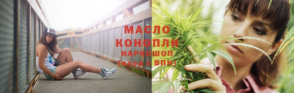 твердый Ельня