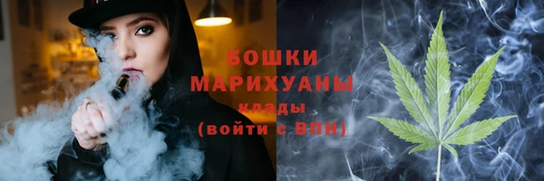 твердый Ельня