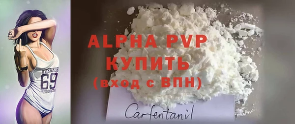 твердый Ельня
