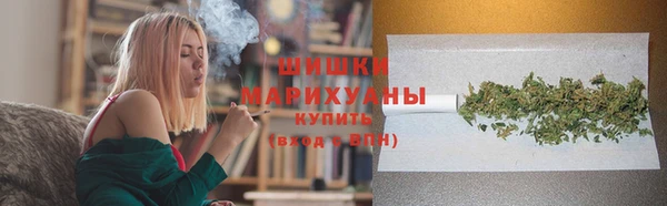 сатива Елизово