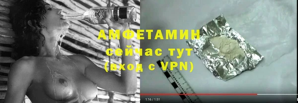 твердый Ельня