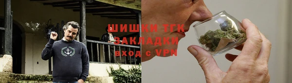твердый Ельня