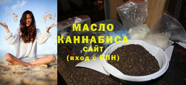 твердый Ельня