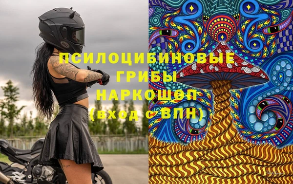 сатива Елизово