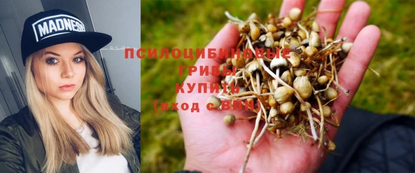 a pvp Елабуга