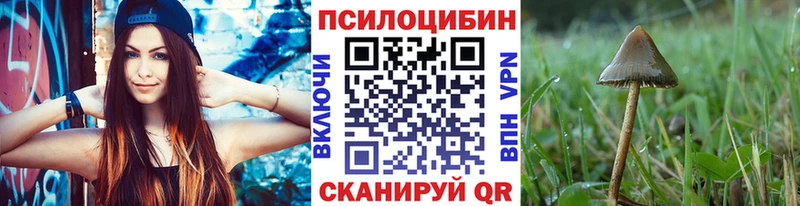 Галлюциногенные грибы Magic Shrooms  Купить закладки  Долгопрудный 